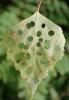 324150 – Photo : Catherine Reymonet-Smitten – France (19)